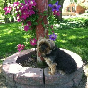 Meet your Posher, Linda